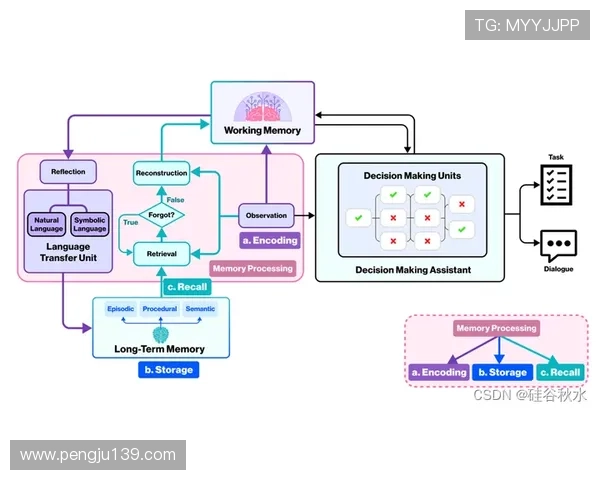 如何选择最优的BG大游真人登录线路确保游戏过程中的安全与流畅体验